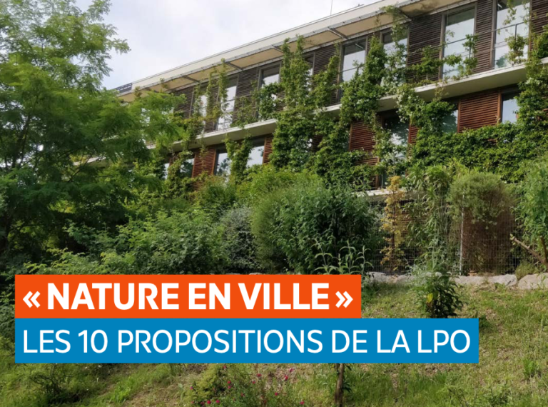 10 propositions de la LPO pour ramener de la nature en ville, s’adapter au changement climatique et améliorer le bien-être des citadins