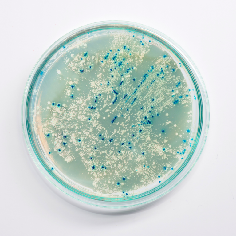 La France accueille l&rsquo;infrastructure de recherche européenne dédiée à la biotechnologie