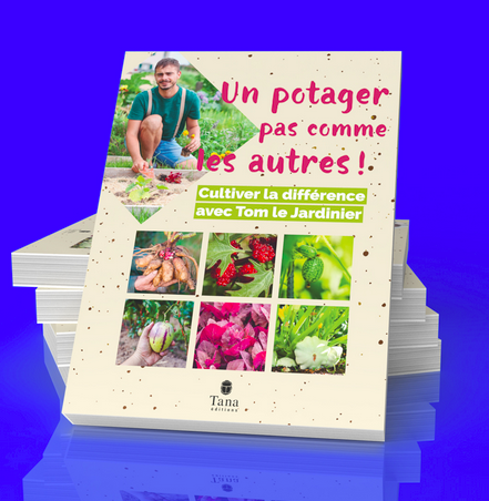 Comment cultiver un potager qui préserve la biodiversité ?