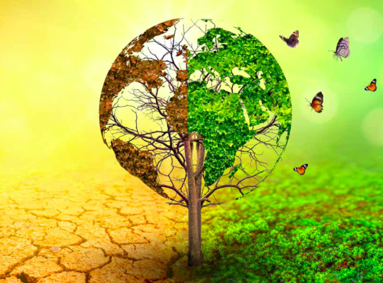 Renforcer la résilience des entreprises face au changement climatique