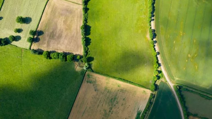 Planter une nouvelle haie ne compense pas la destruction d’une haie ancienne