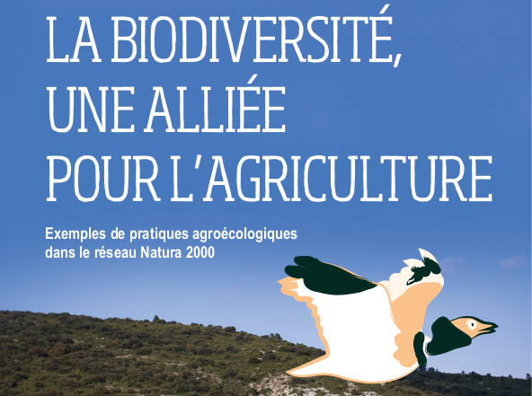 La biodiversité, une alliée pour l’agriculture