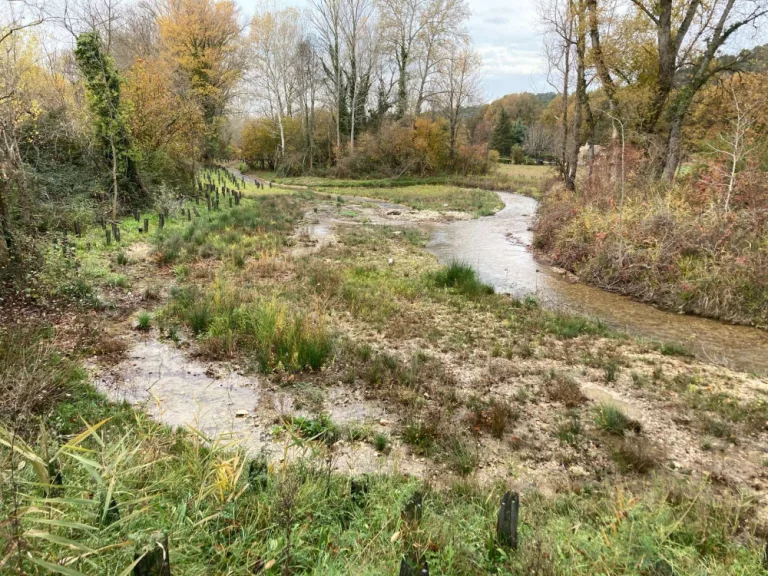 Garantir sa juste part d’eau à la nature pour assurer les services vitaux qu’elle rend chaque jour