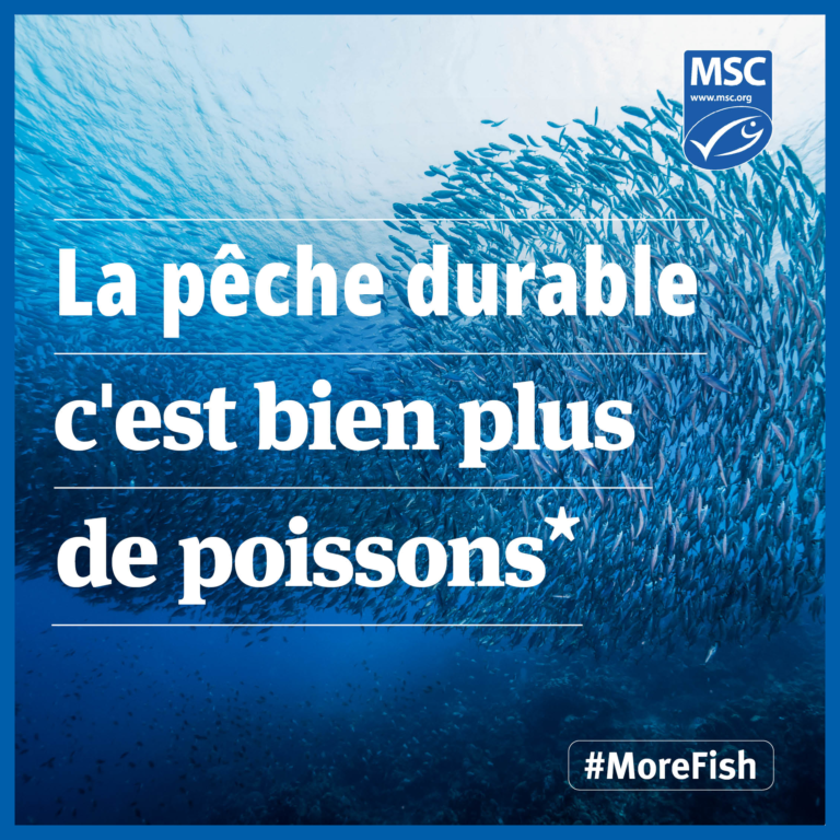 La pêche durable c&rsquo;est bien plus de poissons dans les océans !