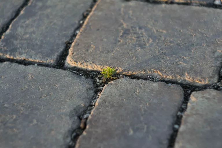 Et si l&rsquo;énergie propre était à portée de main ? Juste sous nos pieds …