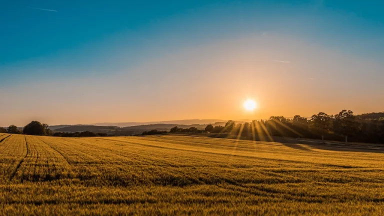 Le marché français atteint un record selon l&rsquo;Observatoire de l’Énergie Solaire Photovoltaïque