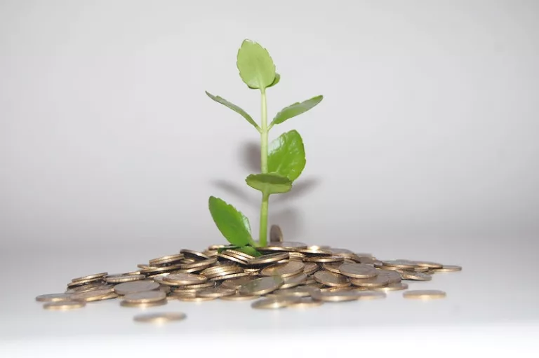 La fiscalité au service de l’environnement : comment et pour quoi ?