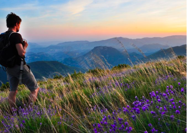 Conseils pour préserver la biodiversité pendant vos aventures de plein air