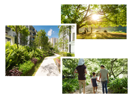 Quelles sont les 12 solutions les plus efficaces pour rafraichir les villes ?