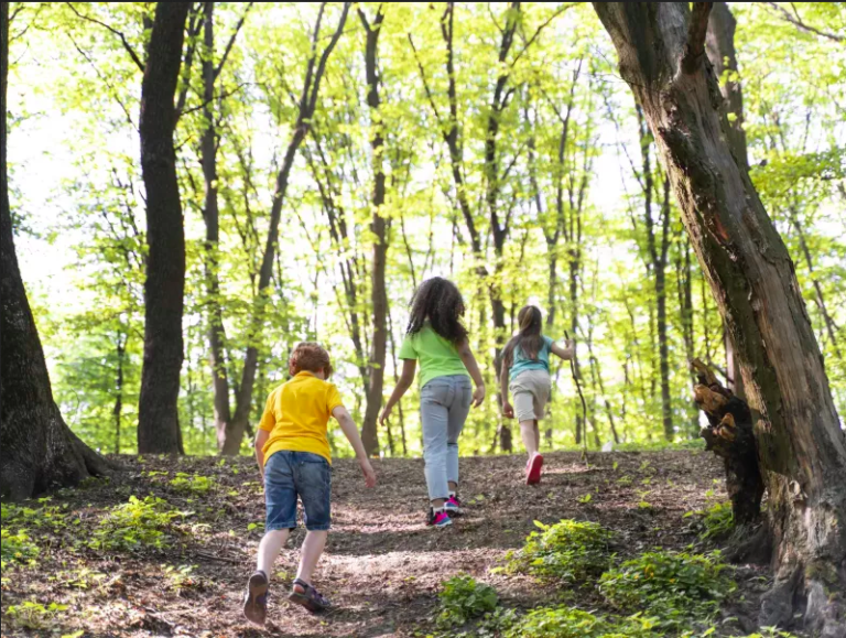7 idées pour (re)découvrir la nature pendant les vacances !