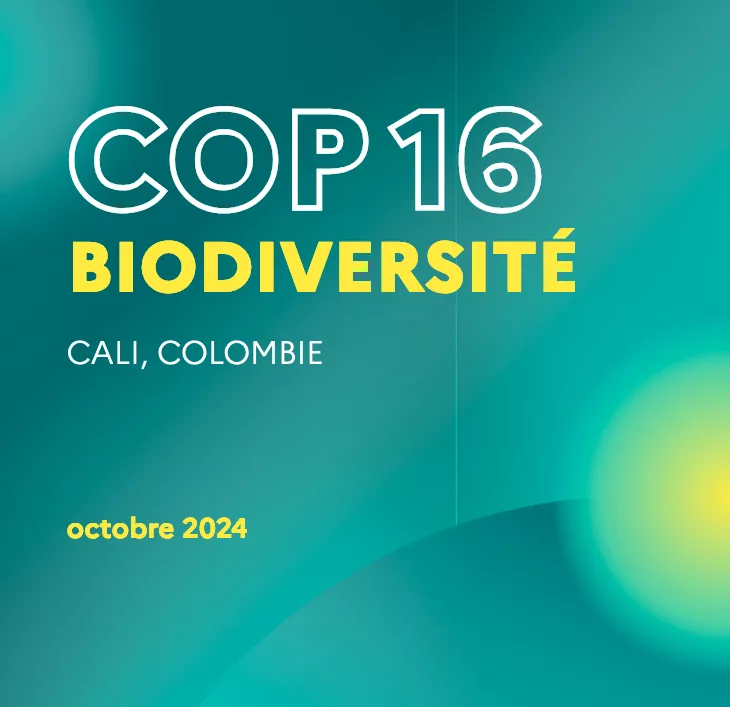 La COP 16 Biodiversité pour faire la paix avec la nature