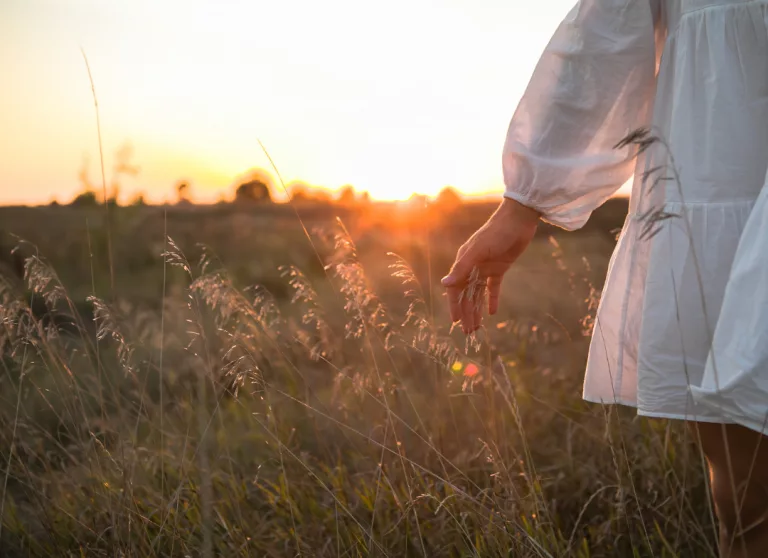 La sensibilité à la nature : Levier de transformation écologique et sociale