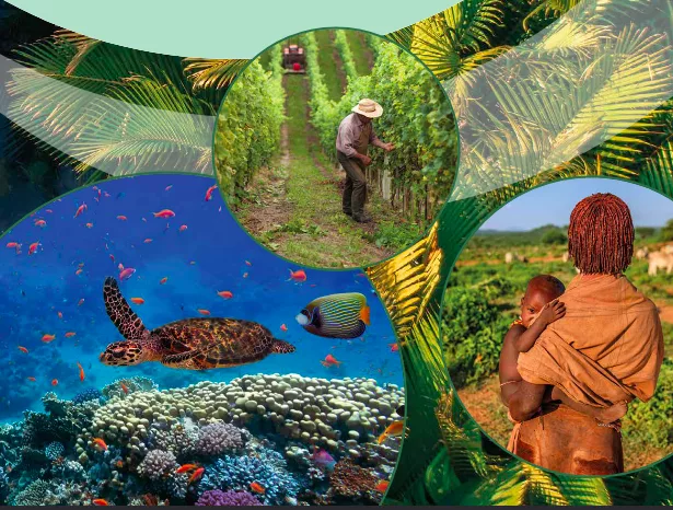 Une initiative mondiale pour structurer les marchés de crédits biodiversité au service des peuples et de la planète