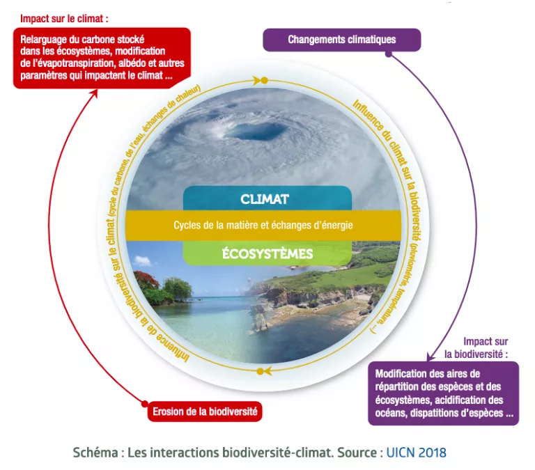 5 ouvrages pour éclairer les enjeux climat & biodiversité