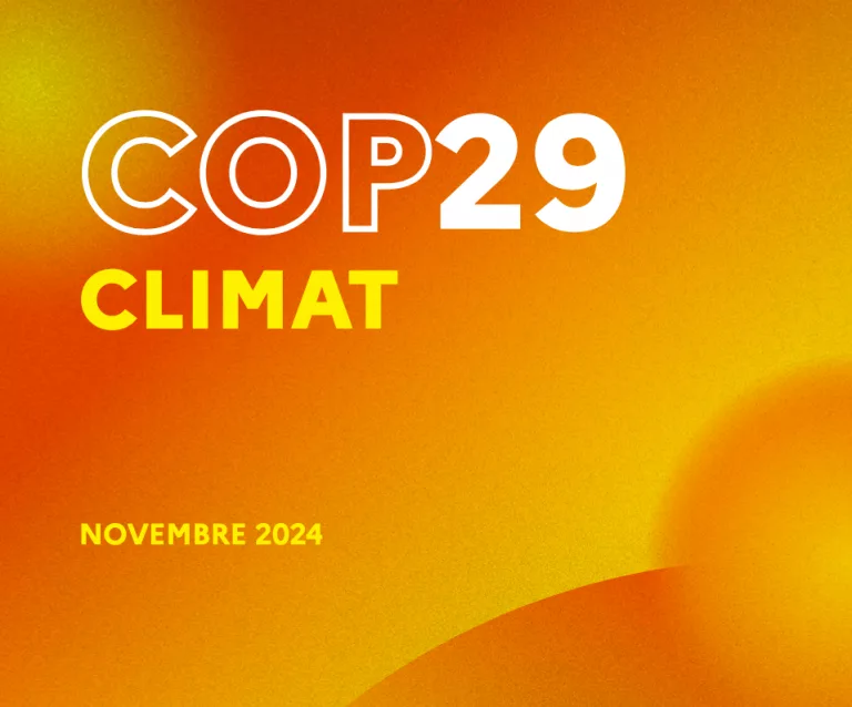 COP29 Climat : vers un réel engagement des États à sortir des énergies fossiles ?