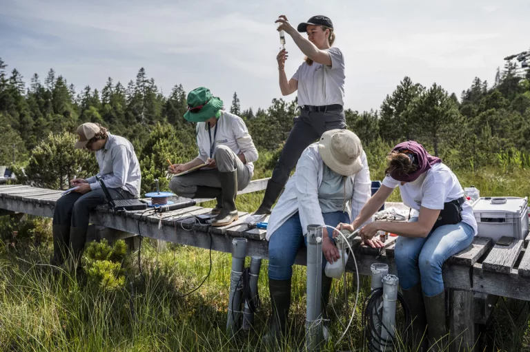 Un nouveau programme de recherche sur les Solutions fondées sur la Nature