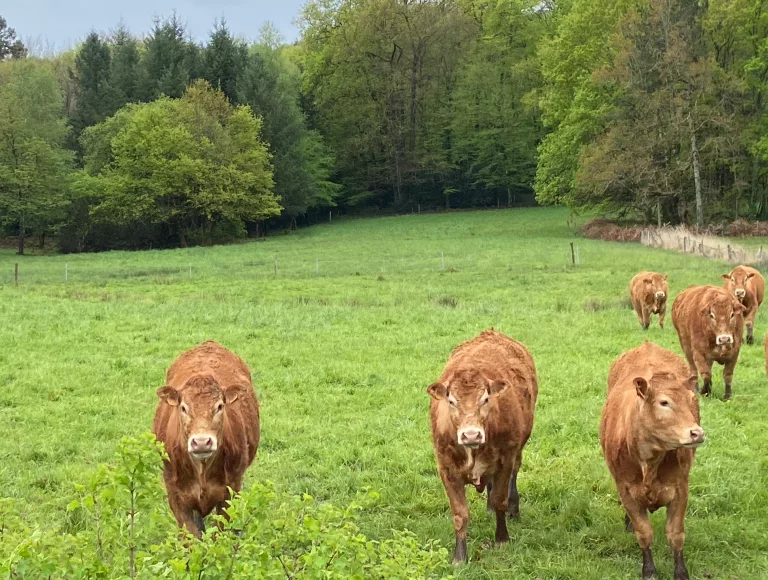 Quels sont les résultats de « La Grande Consultation des Agriculteurs » ?