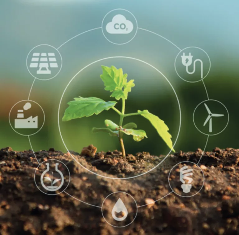 Les KPIs environnementaux : des indicateurs de performance essentiels pour piloter la transition écologique d&rsquo;une entreprise responsable