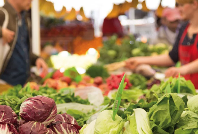 Du champ à l’assiette, quelle est l’impact de notre alimentation ?