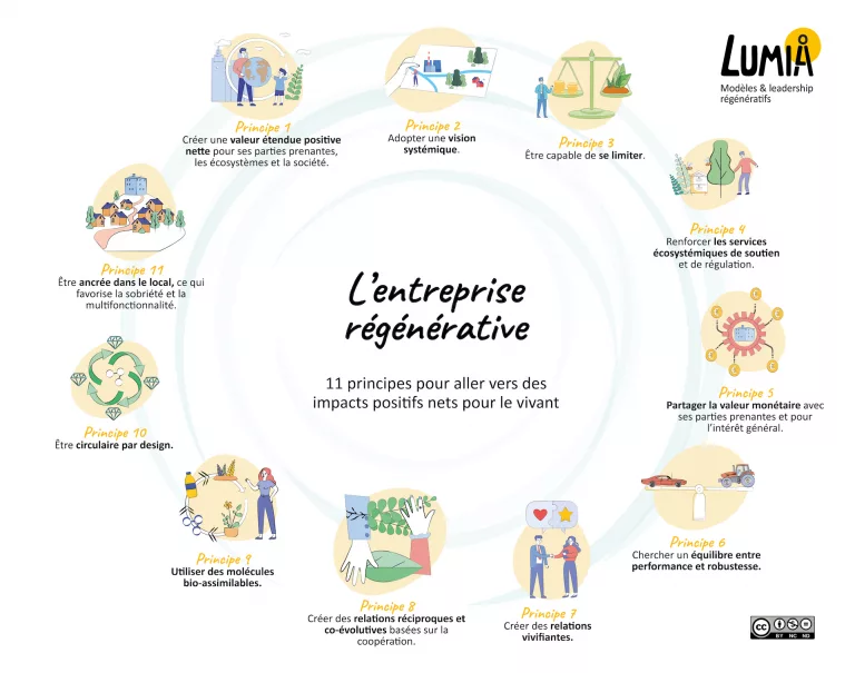 Les 11 principes de l&rsquo;entreprise régénérative pour aller vers des impacts positifs nets pour le vivant