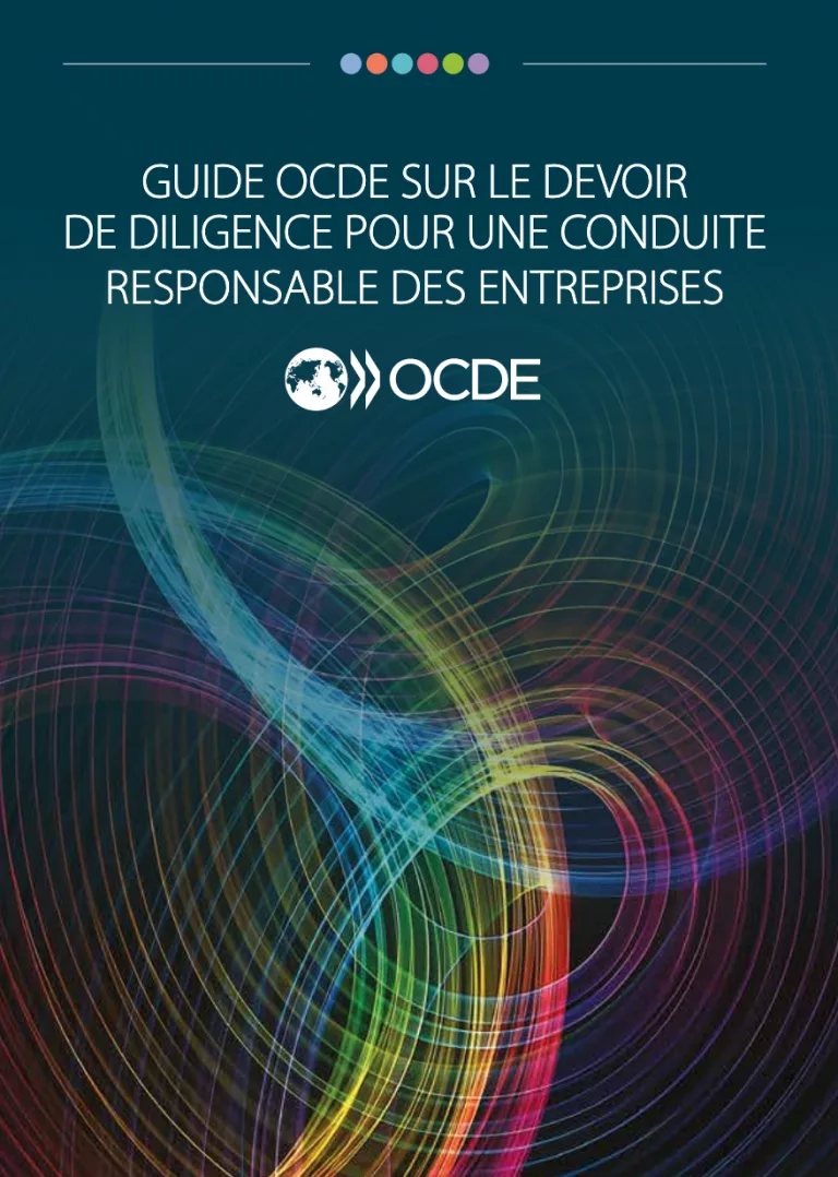 Qu&rsquo;est-ce que le devoir de diligence pour une conduite responsable des entreprises ?