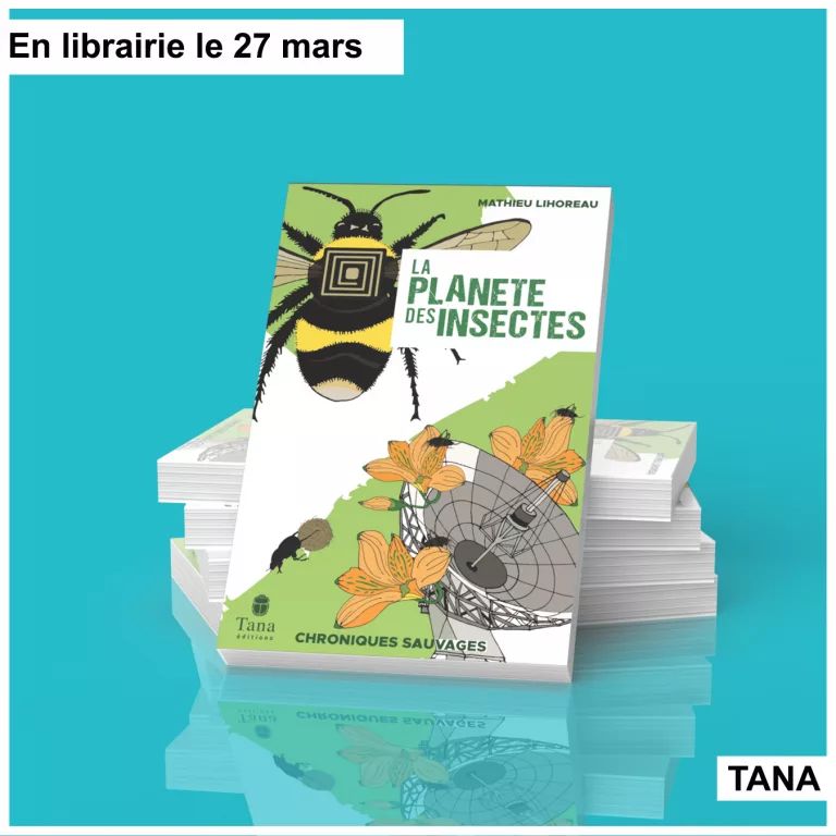 Les insectes sont-ils vraiment si différents de nous ?