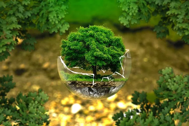 La Comptabilité Ecologique : un levier au service des agriculteurs et de la nature 