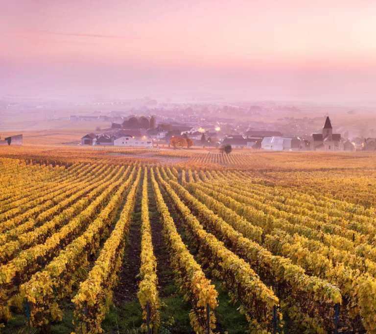 Quelle est la perception du changement climatique par les agriculteurs et leur acceptabilité des solutions écologiques ?