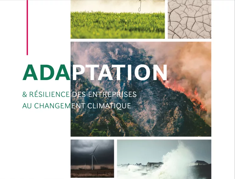 Quelle adaptation & résilience des entreprises au changement climatique ?