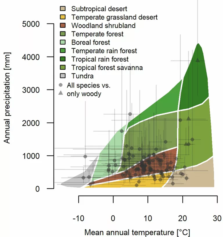 La diversité fantôme des espèces végétales révèle l’impact mondial des activités humaines sur l’érosion de la biodiversité