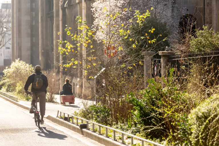 Avec le BiodivScore, Paris veut faire rimer construction et biodiversité