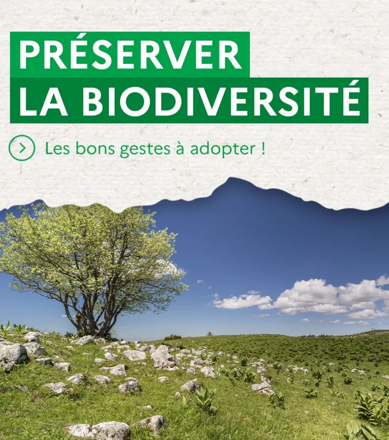 Les bons gestes simples à adopter pour protéger la biodiversité