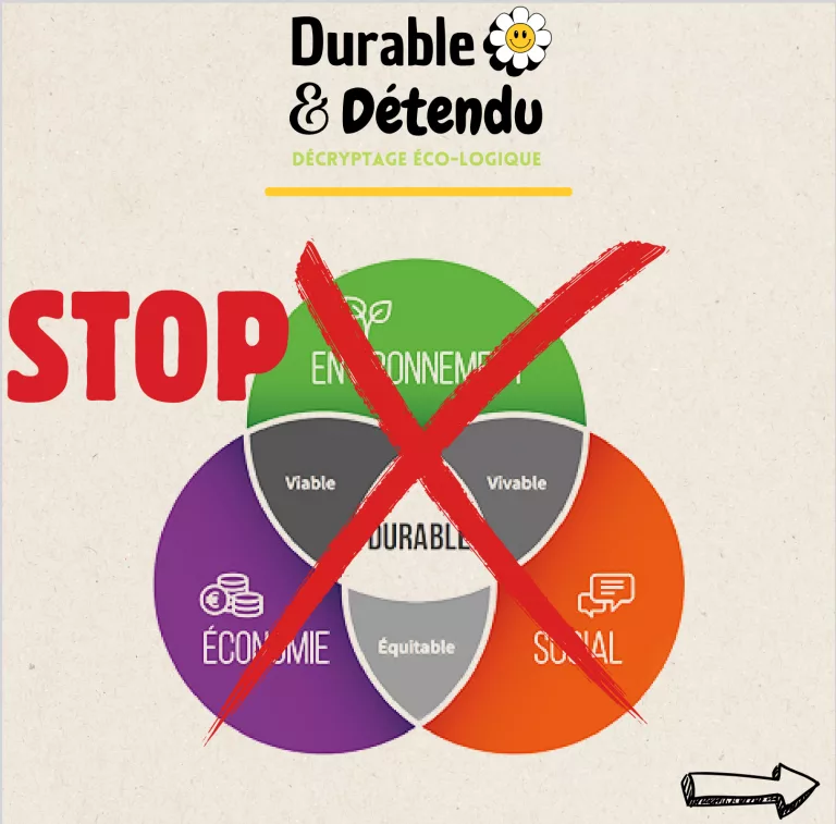 Durable & Détendu : un Décryptage Éco-logique du développement durable