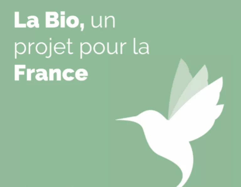 10 actions concrètes pour accroître la consommation bio d&rsquo;ici 2030
