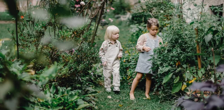 Quand les enfants dessinent la nature : une vision faussée de la faune et de la flore ?