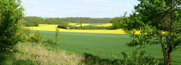 Ces pays qui ont réussi à réduire pesticides et engrais chimiques en accompagnant les agriculteurs