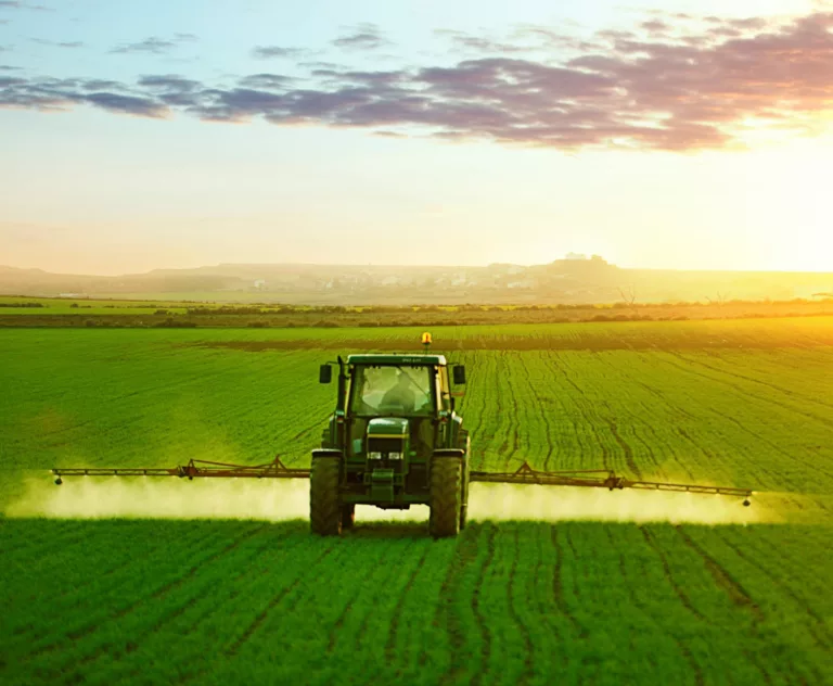 3 mesures pour limiter l’impact des polluants chimiques sur la santé et 5 gestes simples pour en limiter l’exposition