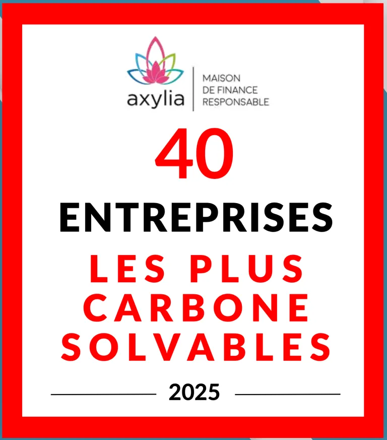 Quelle entreprise cotée peut vraiment payer sa facture carbone en 2024 ?