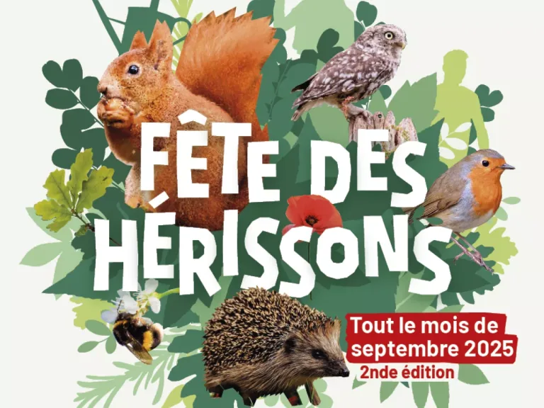 En Septembre c&rsquo;est la Fête des Hérissons : 1001 manières de s&rsquo;engager pour la nature