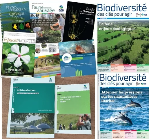 La revue Biodiversité, des clés pour comprendre, changer et agir