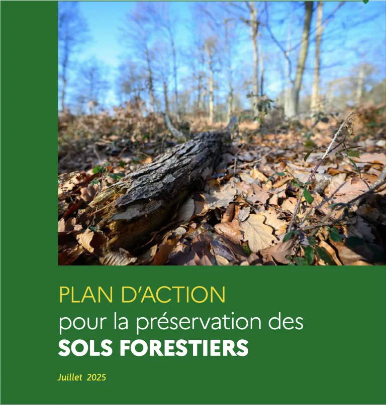 Un plan d&rsquo;action pour la préservation des sols forestiers