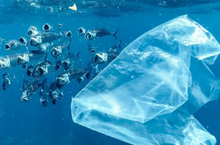 Recycler les plastiques pour protéger les océans, une illusion face à la surproduction ?