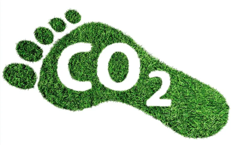 En savoir plus sur le changement climatique est un levier pour diminuer l’empreinte carbone