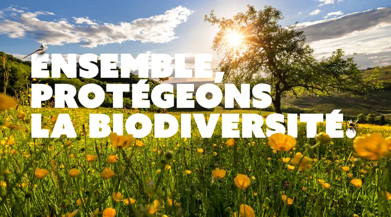 Accompagner les élus et agents publics dans la mise en œuvre d’actions concrètes pour préserver et restaurer la biodiversité