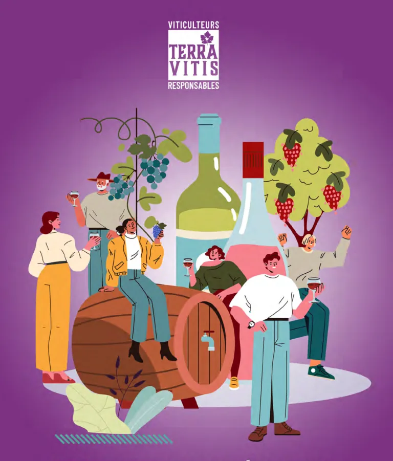 Comment la viticulture durable fait face aux enjeux climatiques, sociaux et économiques ?