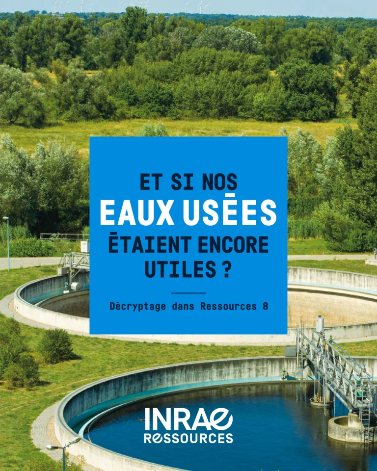 Comment recycler l&rsquo;eau et donner une deuxième vie aux eaux usées ?