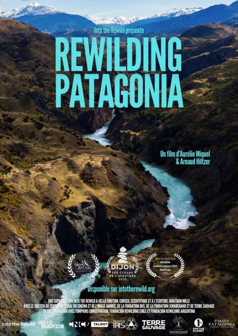 « Rewilding Patagonia » : un documentaire sur le réensauvagement d’immenses territoires en Patagonie