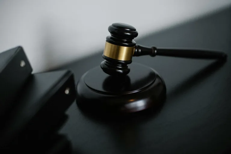 Que peut le Conseil constitutionnel face aux reculs récents de la protection de l&rsquo;environnement ?