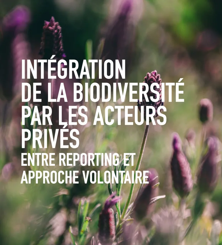 Quelle intégration de la biodiversité par les acteurs privés ? Entre reporting et approche volontaire
