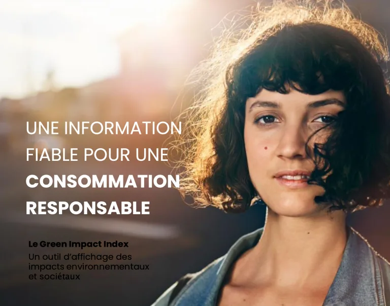 Impact des scores socio-environnementaux sur la consommation française